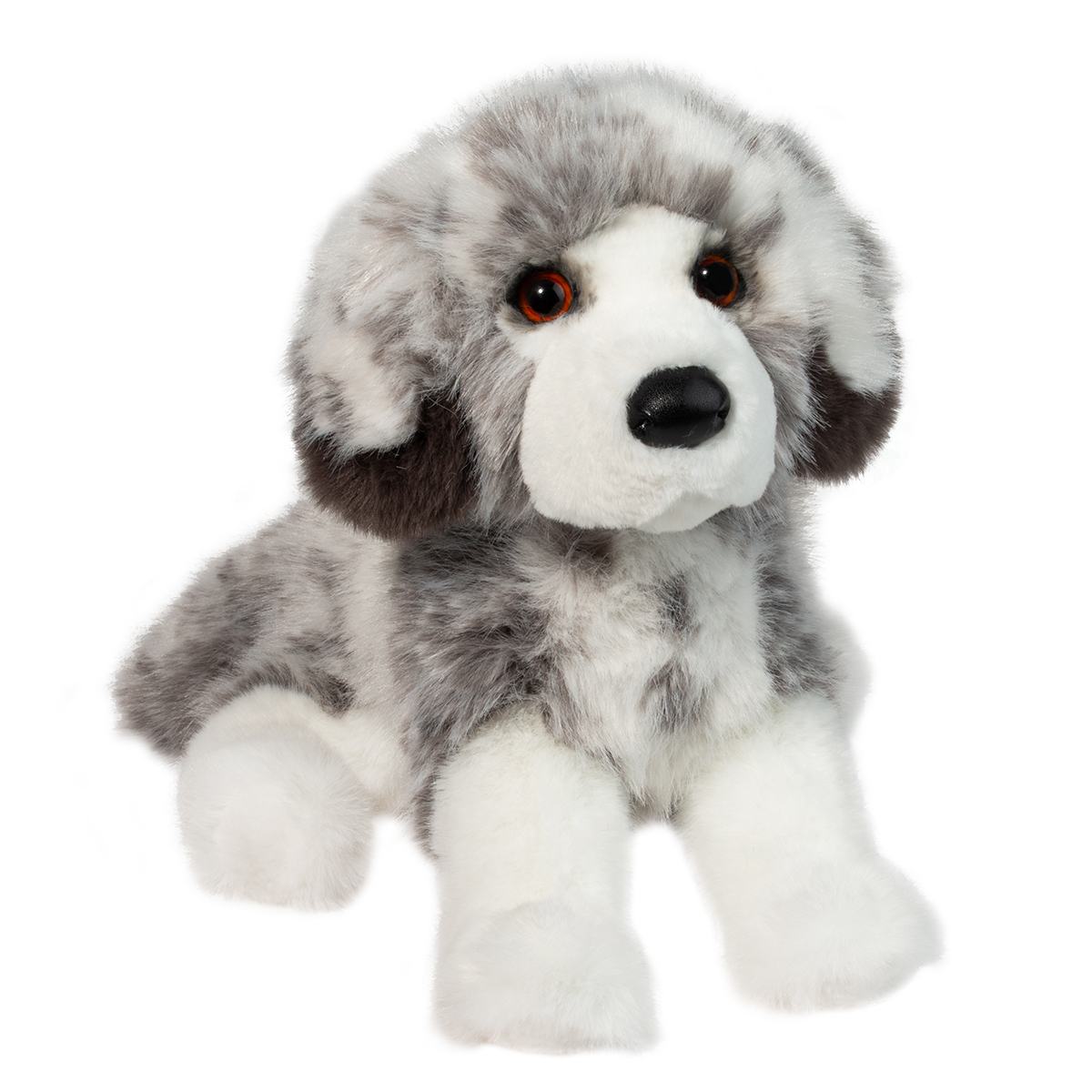2409-1.jpg Skylar Australian Shepherd - Image 1