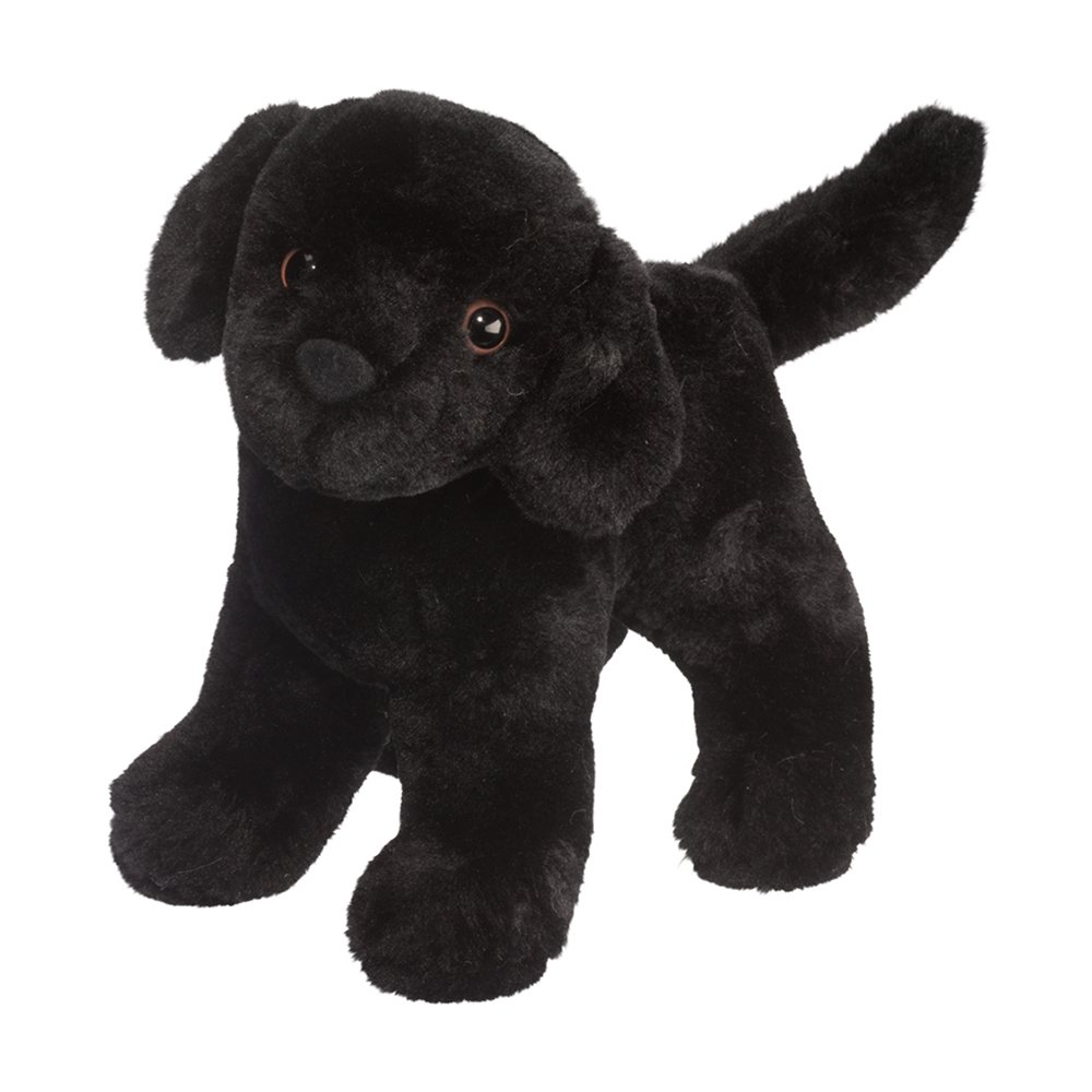 3997.jpg Abraham Black Lab - Image 1